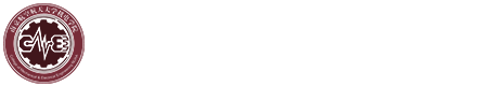bv伟德